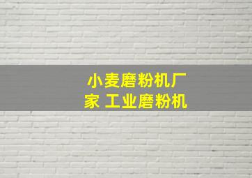 小麦磨粉机厂家 工业磨粉机